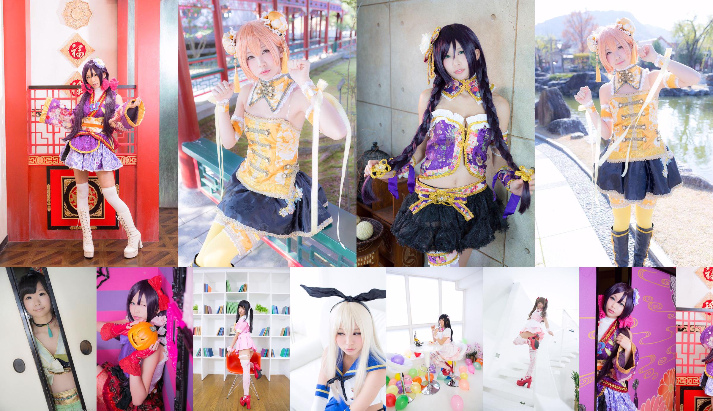 [Digi-Gra] Chrysanthemum chrysanthemum (Chrysanthemum chrysanthemum) Photoset 05 No.f27057 Pagina 1
