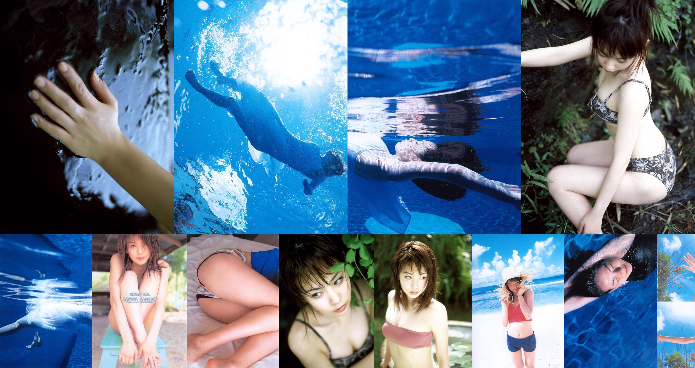 ซายากะโกลด์ No.73a370 หน้า 1