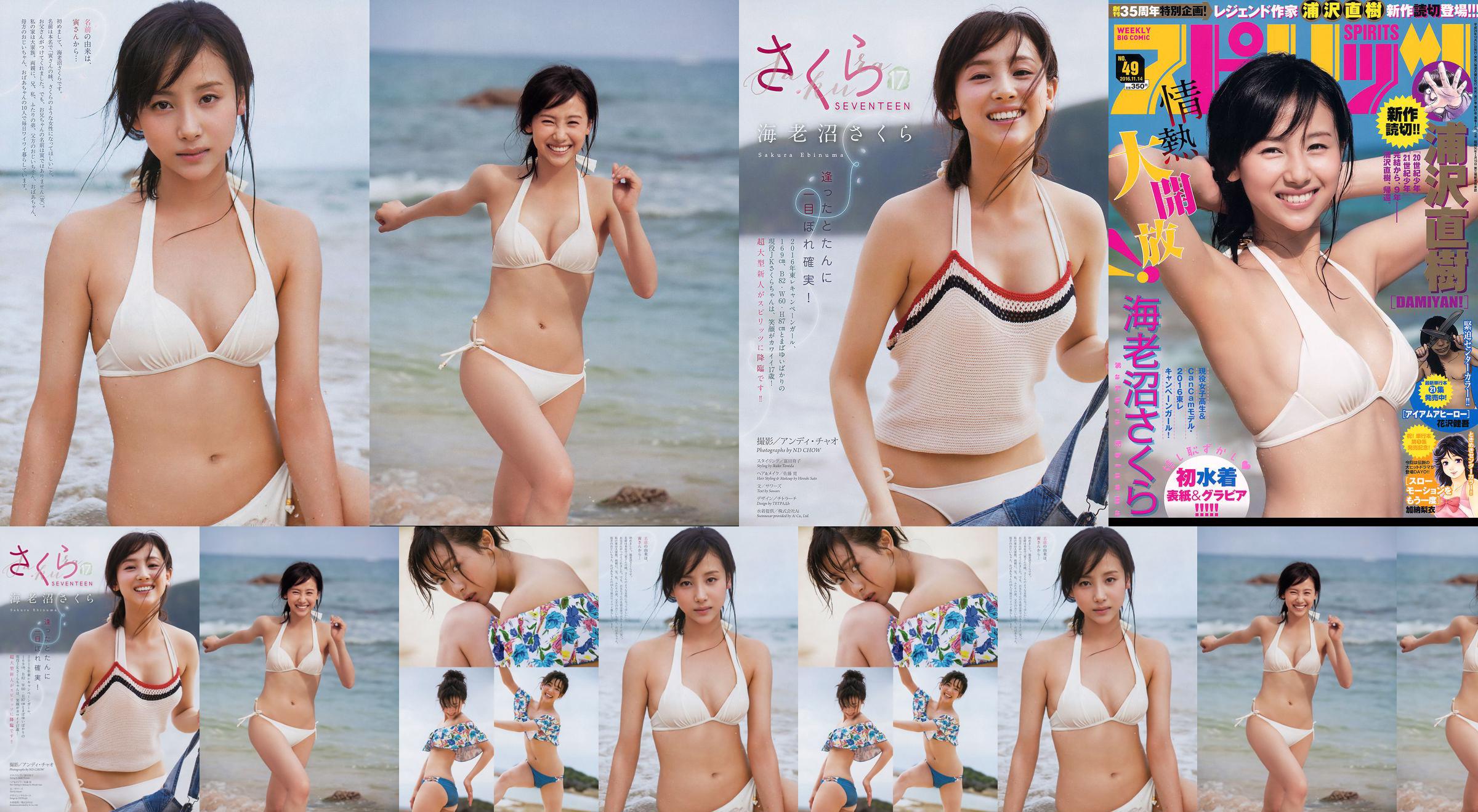 [Weekly Big Comic Spirits] Ebinuma さ く ら 2016 No.49 Photo Magazine No.7a177a Pagina 1
