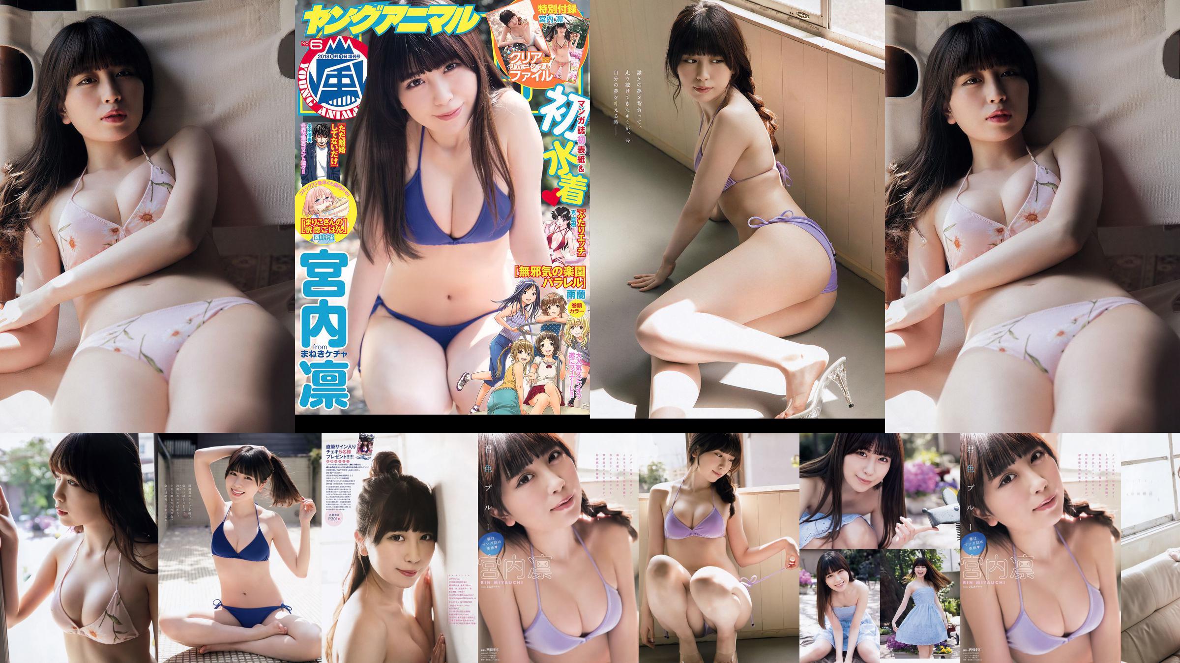 Rin Miyauchi [Animal joven Arashi] Arashi Edición especial 2018 No.06 Revista fotográfica No.1f3a61 Página 1