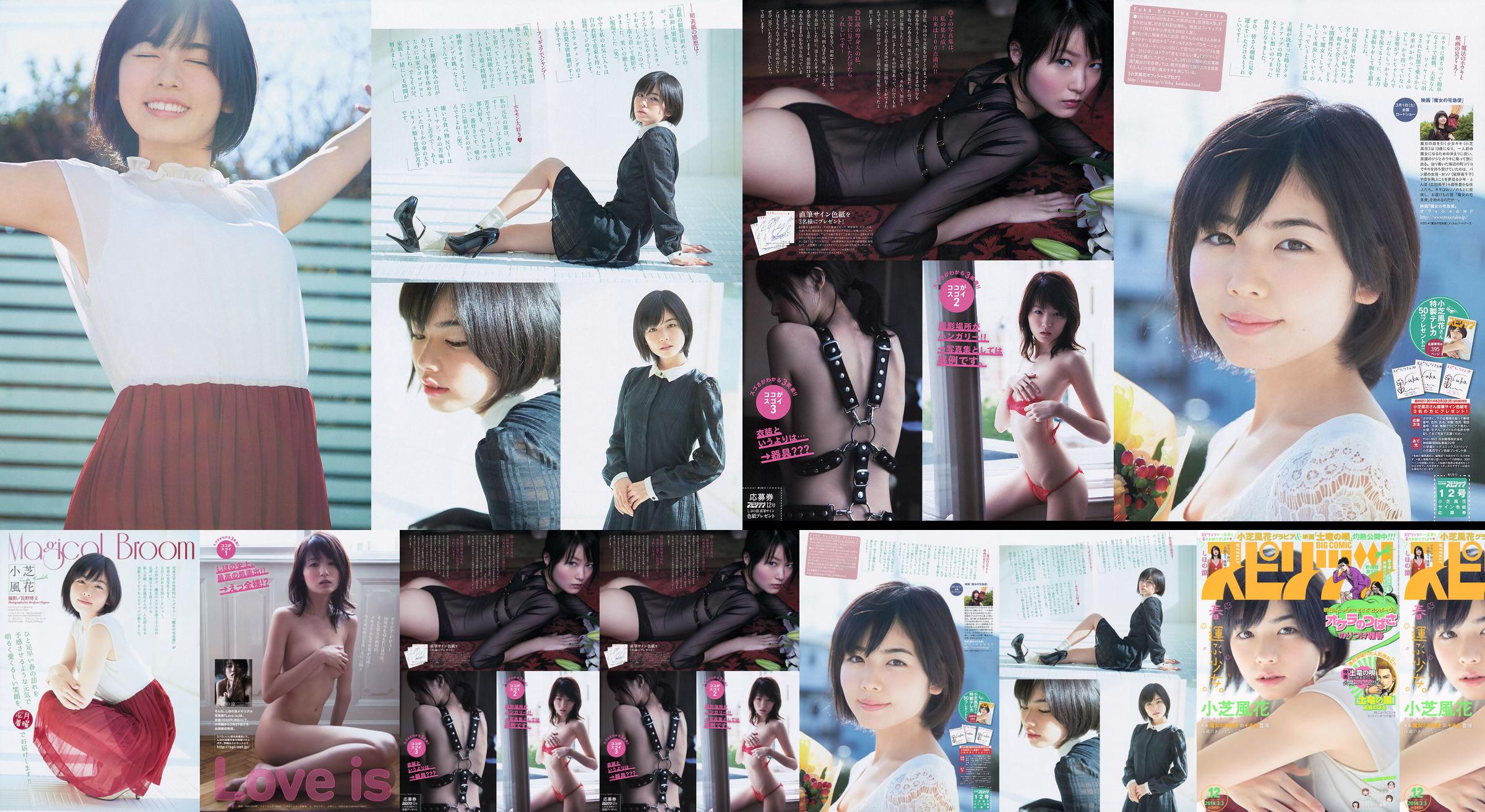 [Weekly Big Comic Spirits] Xiaoshiba Fuhua Ryo Shihono 2014 No.12 Photo Magazine No.58d2b9 Página 1